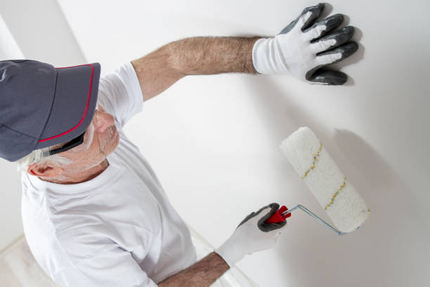 Best Air Quality Testing for Mold Spores  in Clare, MI