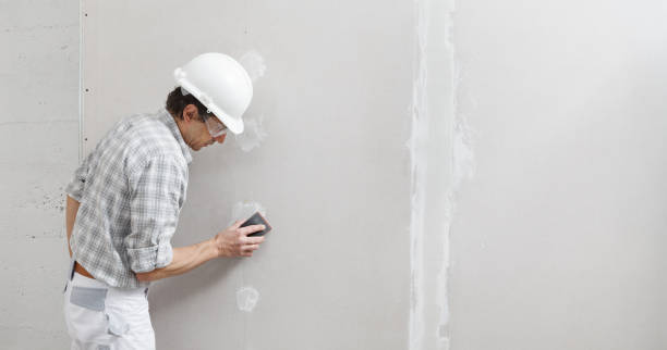 Best Comprehensive Air Testing for Mold Contaminants  in Clare, MI