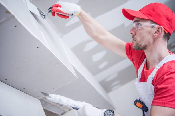 Mold Remediation for Vacation Homes in Clare, MI